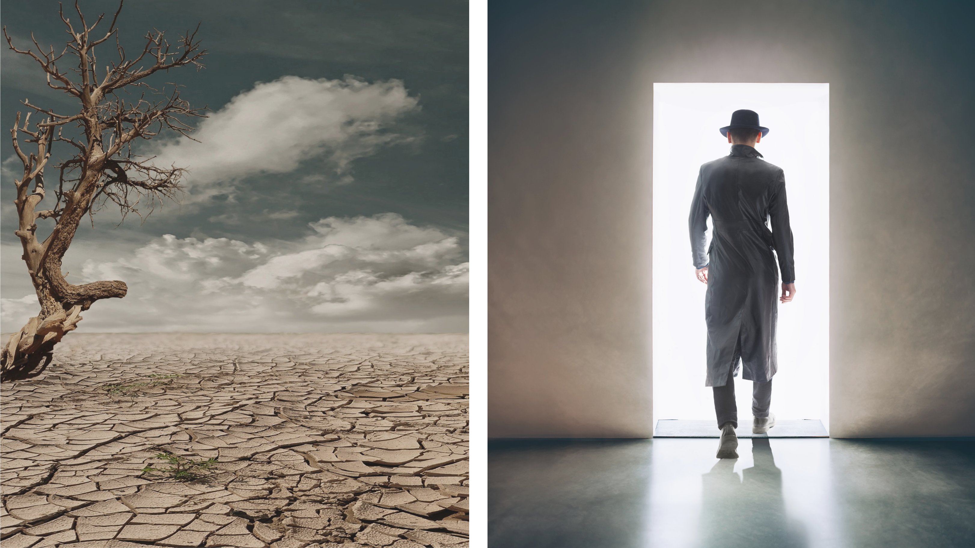 Survival Scenario & Escape Room